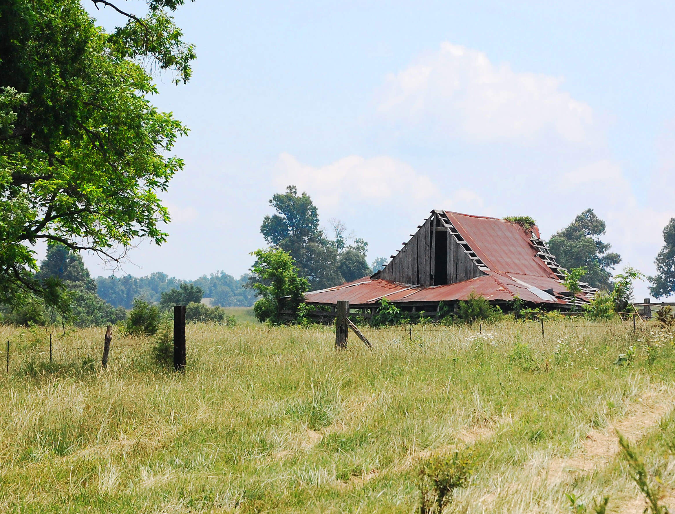 Evening-Shade-barn